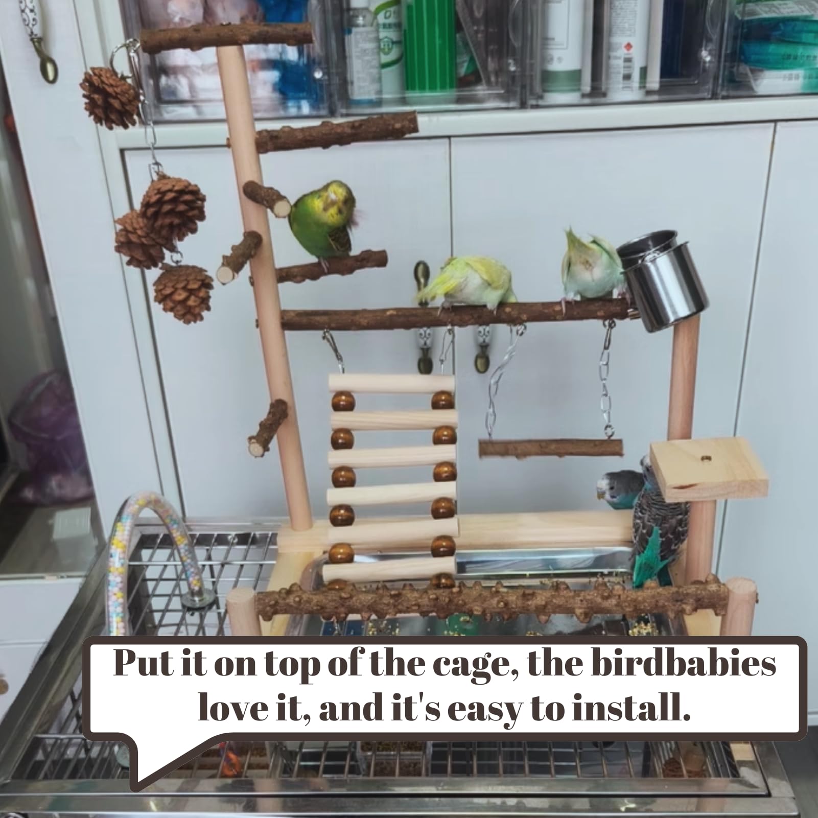 Costcogogoページ　バードアタック　バードジム Bird Toys BNOSDM Natural Wood Bird Playground For Training